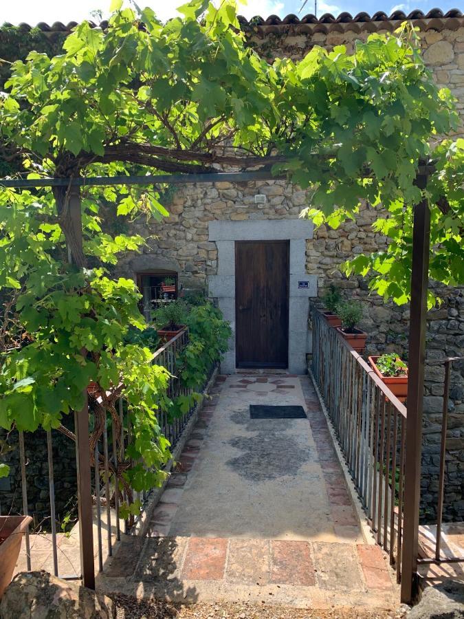 Saint-Sauveur-de-Cruzière Le Fleuristeヴィラ エクステリア 写真